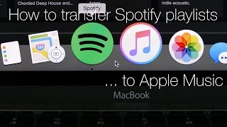 How To: Transfer Spotify Playlists to Apple Music