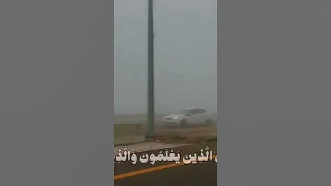 تلاوة هادئة للقارئ: بندر بليلة🎧