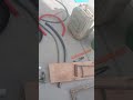 first prototype soldier fly ecosystem #LaFáfricadeTierra #thesoilFactory #insects #soldierflies