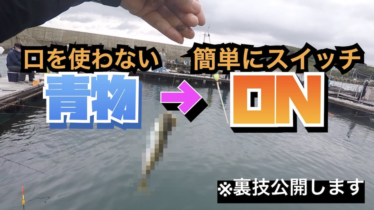 釣ガチ海上釣堀 135 赤青一撃グミ 釣堀初使用 イチバンエイトさんお邪魔しました Youtube 釣ガチ海上釣堀 135 赤青一撃グミ 釣堀初使用 イチバンエイトさんお邪魔しました Youtube
