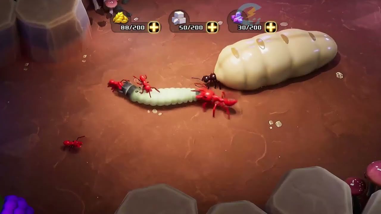 Create Your Own Ant Colony -Ant War