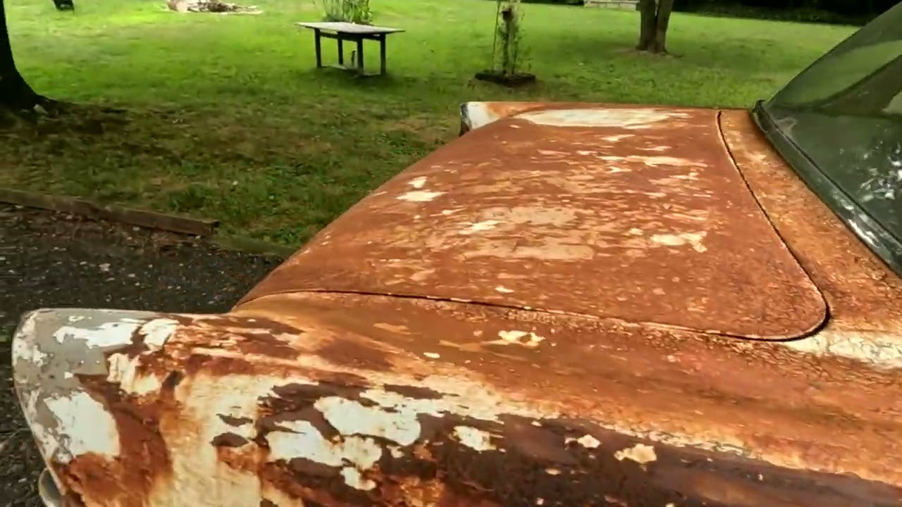 1955 Chevy revival. Will it.........?  