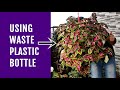 NEW Way to Grow COLEUS That NOBODY Did Before!