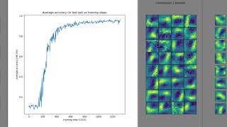 Convolutional neural network kernels during training on MNIST dataset