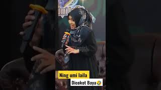 Download Lagu Ning umi laila cokot boyo MP3