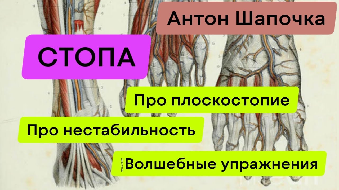 Про комплекс стопы. фасция и движение - YouTube