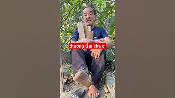 thương lắm cha của con ơi #subscribe #funnyvideo #giupdonguoingheo #shorts