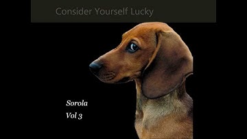 VOL 3 now with lyrics included