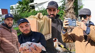 سوق الطيور والحيوانات بالدار البيضاء 🇲🇦اليوم السبت 2026/2/14 نتمناو خير ان شاء الله