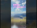 こんなこともできちゃいます〜❣️