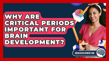 Why Are Critical Periods Important For Brain Development? - Brain Development Hub