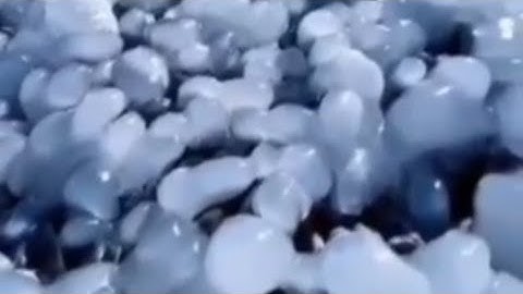 قل للمؤمنين يغضوا من أبصارهم، سورة النور، الشيخ خالد الجليل حفظه الله، اللهم صلى على نبينا محمد