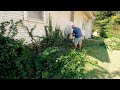 FATHER AND SON Help Homeowner With FREE Lawn Cleanup