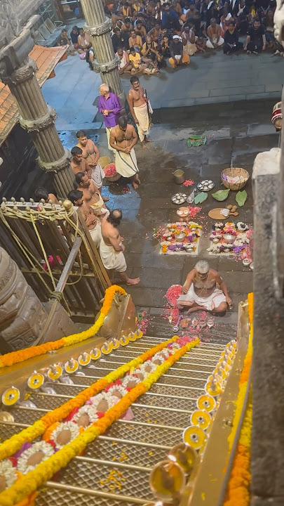 പടിപൂജ 🥰#sabarimala #shortsfeed #ayyappa #sharam #padipooja ##sabarimalasannidhanam #viral#tamil