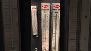 IMG 5432