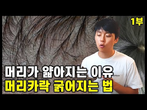 머리가 얇아지는 이유 & 머리 굵어지는 법 (feat. 경험담, 두피염, 탈모)