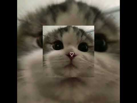 Like My Father Jax Sped Up 