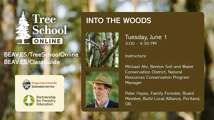 Tree School Online:  Into the Woods