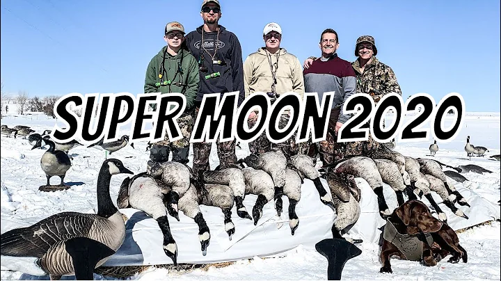 SUPER MOON 2020 - Goose Hunting the Front Range of Colorado!