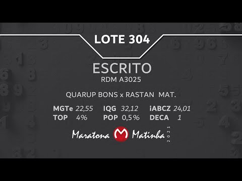 LOTE 304 Maratona Matinha