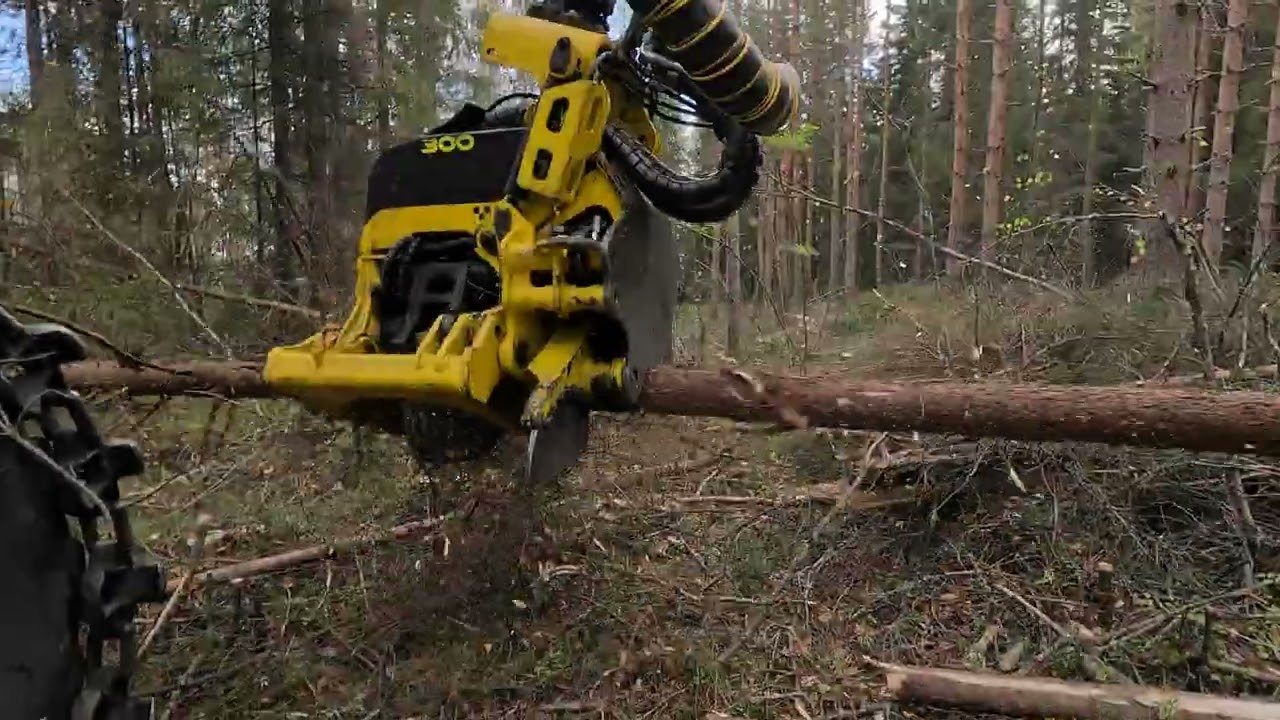Moipu 300F1 in pulpwood harvesting | kuitupuun korjuussa