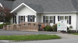 Danville Veterinary Hospital Walkthrough