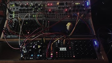 Testing the Black Sequencer and the Morphagene