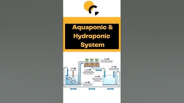Aquaponics and Hydroponics: An Innovative All-in-One System
