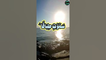 آيات من سورة الملك بصوت القارىء هلويست نصر الدين.