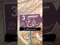 نا میری صداقت ہے صدیق جیسی 🫡♥️👍| حق چار یار زندہ باد #youtube #unfrezzmyaccount #shorts #abubakar