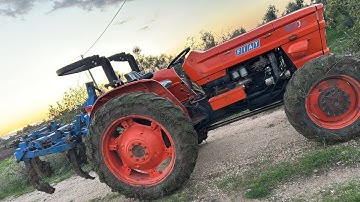 Fiat 600 DT with 4-Shank Chisel Plough Performance