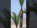 Agadir شاطئ اغرود Agadir شاطئ اغرود