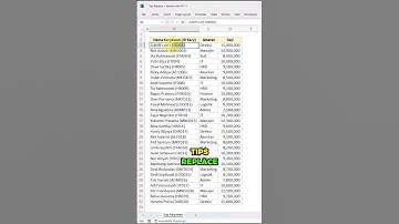 TIPS REPLACE DI EXCEL‼️ #belajarexcel #exceltips #excelhacks #tutorialexcel #excel