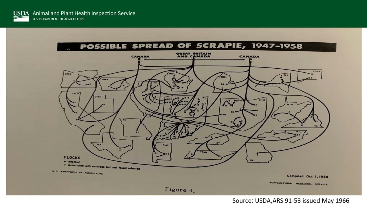 Animal Health Management: How Partnerships can Solve Big Problems (43)