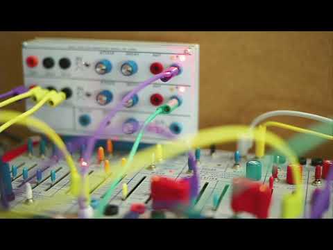 Dual Function Generator MODEL 281 Card Ambient