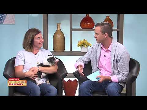 Golden Ears | Morning Blend