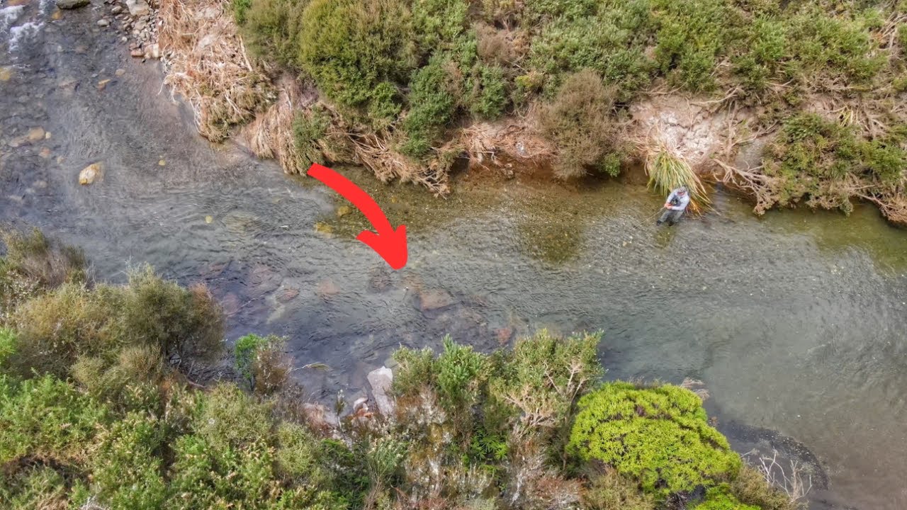 РЫБАЛКА ПОСЛЕ ЦИКЛОНА!! [Куремя]