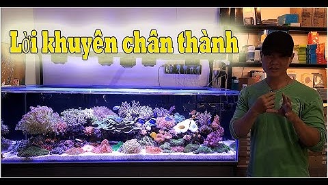 Lời khuyên chân thành trước khi setup bể cá biển #48