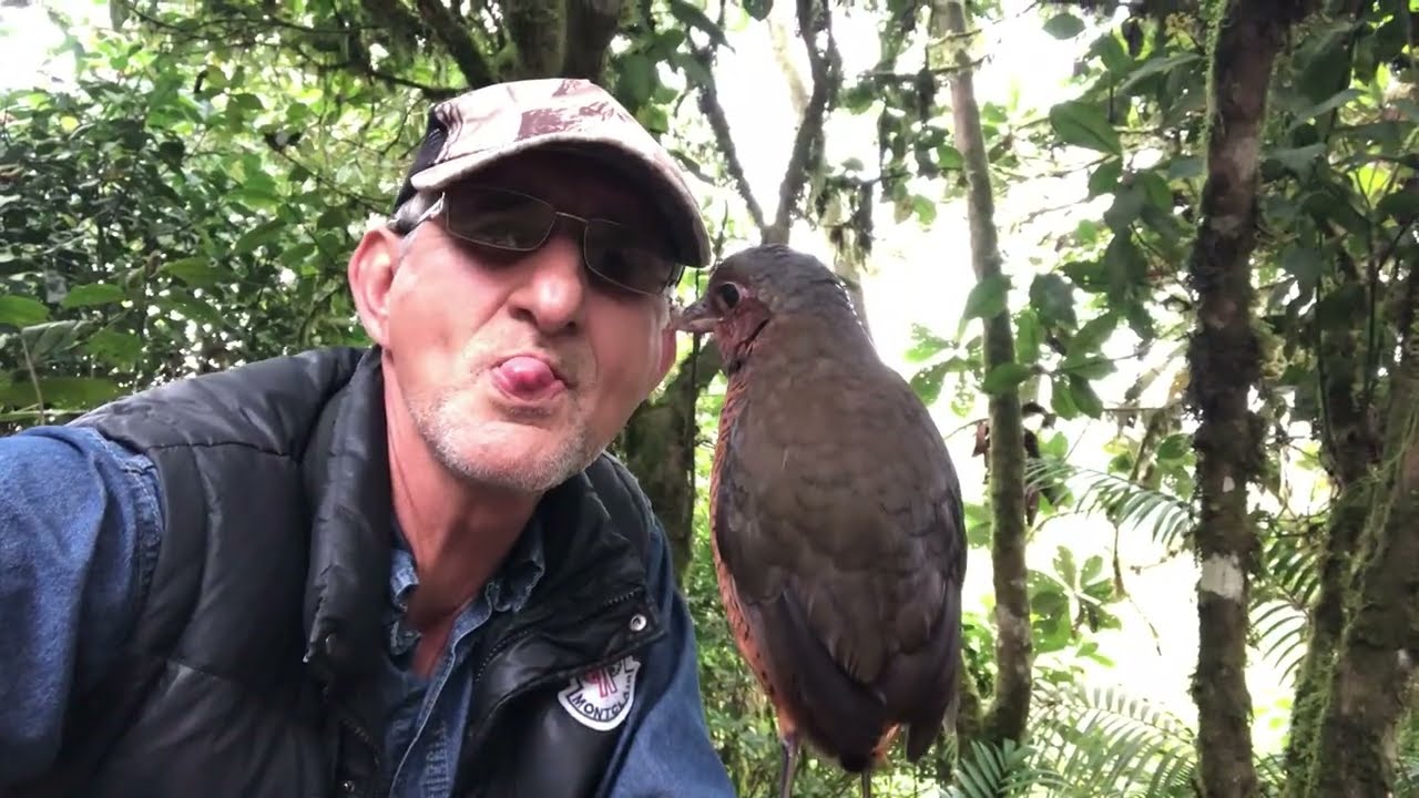 ¡Te presento al Tororoi Gigante!