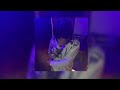 Vendetta MUPP Sadfriendd Nightcore Sped Up Vendetta MUPP Sadfriendd Nightcore Sped Up