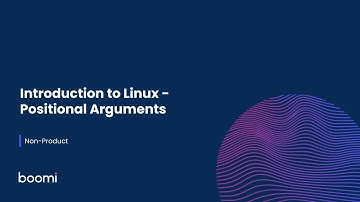 Introduction to Linux - Positional Arguments