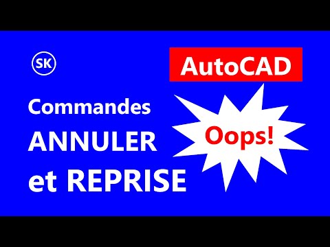 Vidéo: Comment arrêter une commande dans AutoCAD ?