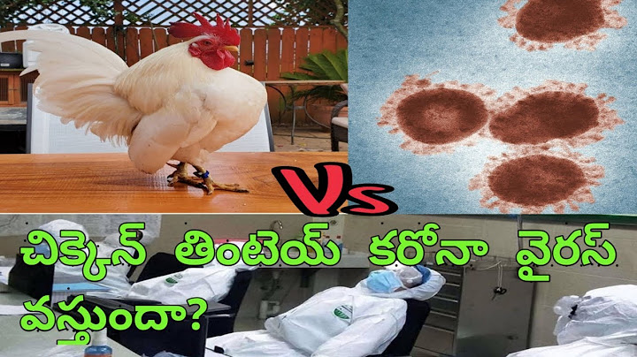 Will eating Chicken causes Corona virus in telugu