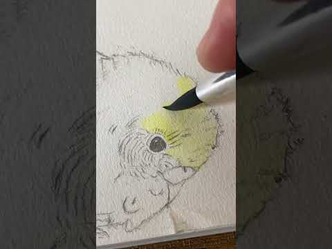 【色塗り】お絵描き日記「画用紙を破るインコ」.ASMR / Drawing Diary "Parrot Drawing Paper Tearing" #shorts #asmr #お絵描き