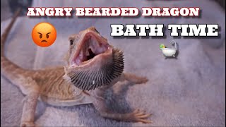 Attempting To Give My Angry Bearded Dragon A Bath! Super Cute!