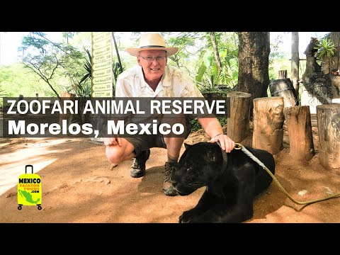 Amacuzac, Morelos - Zoofari Wildlife Conservation Sanctuary - MEXICO w/Mike Vondruska - Travel Guide