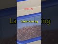 meat cube dicer, frozen cube dicing machine