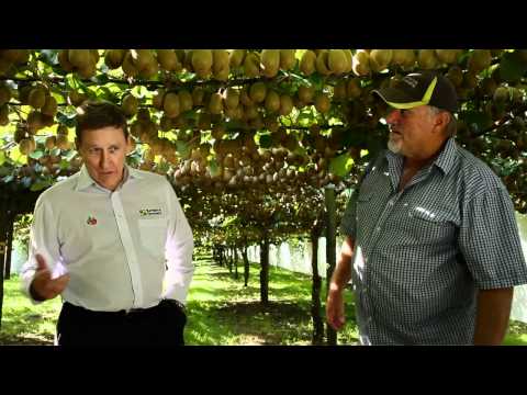 Turners & Growers New Kiwifruit Varieties 2011