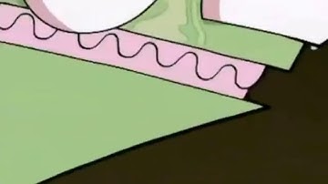 Why was there bacon in the soap? | Invader Zim