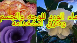 فوائد ماء الورد للوجه والجسم وطرق استخدامه